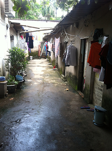 Tuy lụp xụp xuống cấp, nhưng dãy nhà trọ ở xóm 1 ngõ Phạm Văn Đồng này đã chật kín các phòng và có giá 800.000 1 tháng.