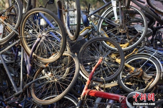Trường đại học biến thành “Nghĩa địa xe đạp” - 2