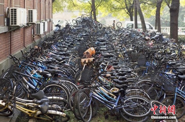 Trường đại học biến thành “Nghĩa địa xe đạp” - 3