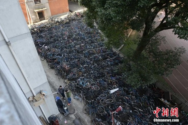 Trường đại học biến thành “Nghĩa địa xe đạp” - 4